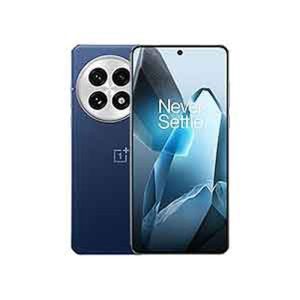 OnePlus 13 Mini
