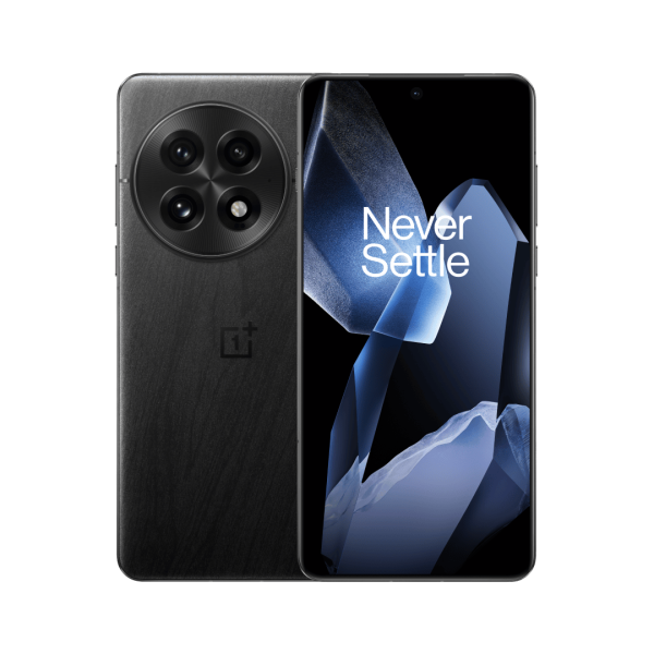 OnePlus 13